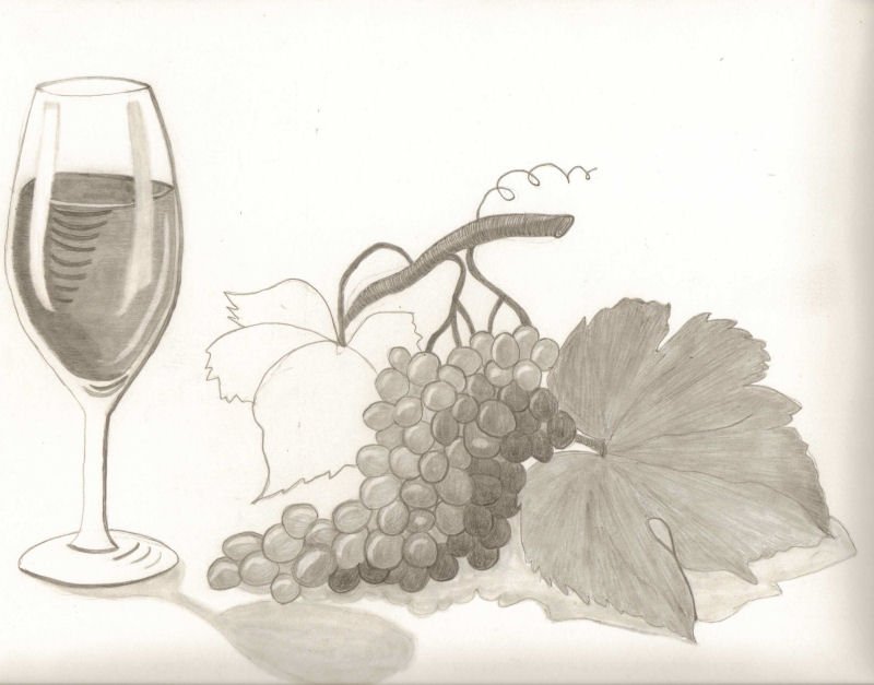 Виноград нарисовать легко и просто - 97 фото