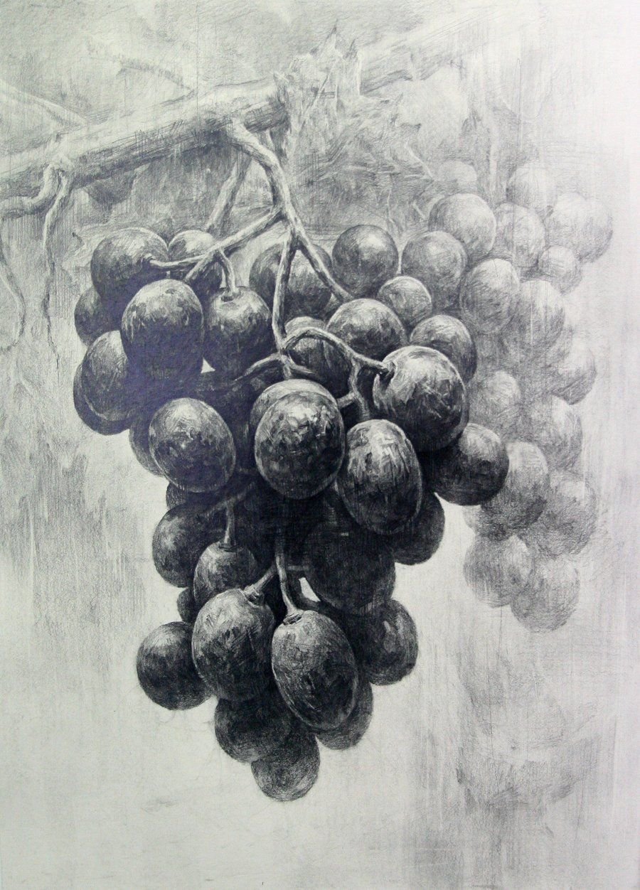 Виноград гризайль