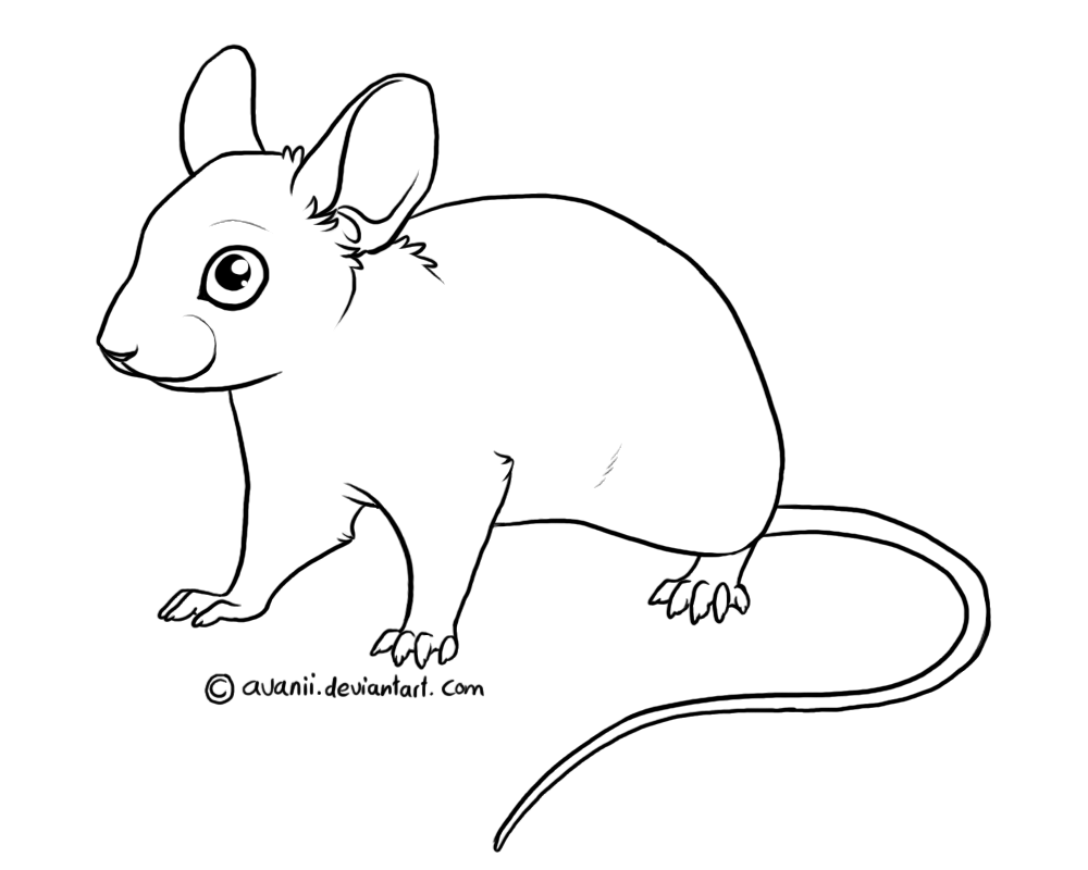 Мышь рисунок для срисовки. Рисунок мыши для срисовки. Мышь сбоку рисунок. Мышка для срисовки карандашом. Рисунок мыши карандашом для срисовки.
