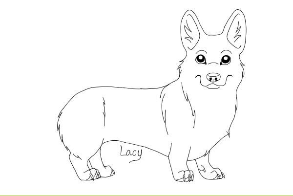 Вельш корги пемброк раскраска