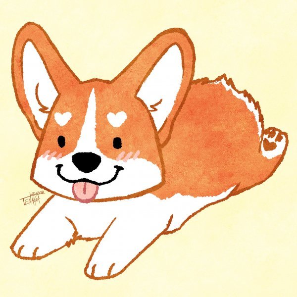 Вельш корги карандашом