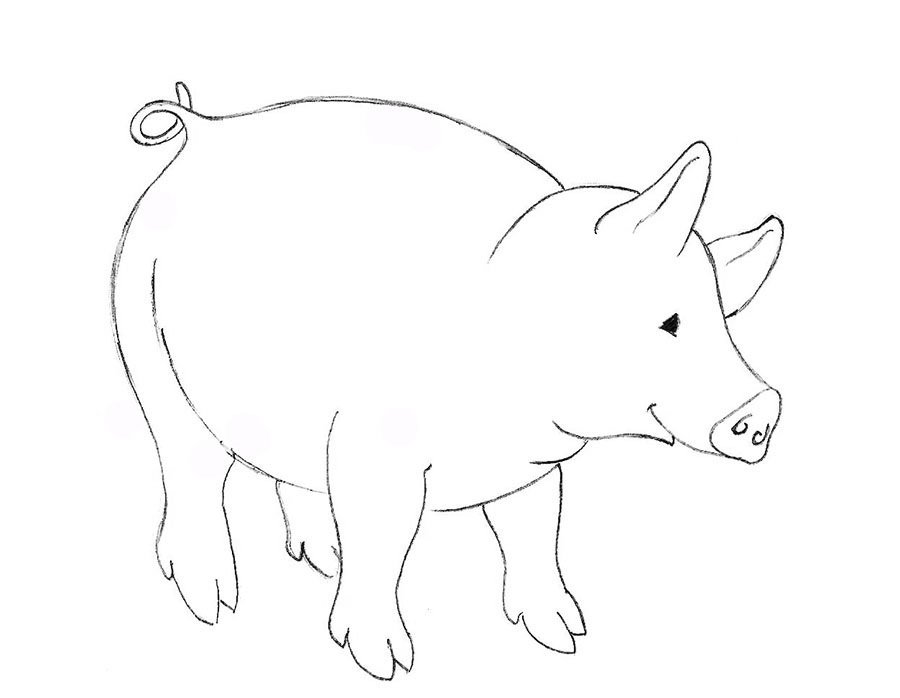 Свинья карандашом. Рисование поросенок. Свинка рисунок. Как нарисовать свинью. Свинья рисунок карандашом.