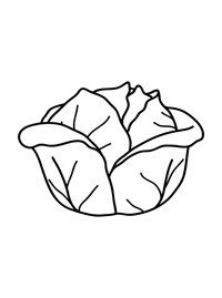 Капуста рисунок карандашом