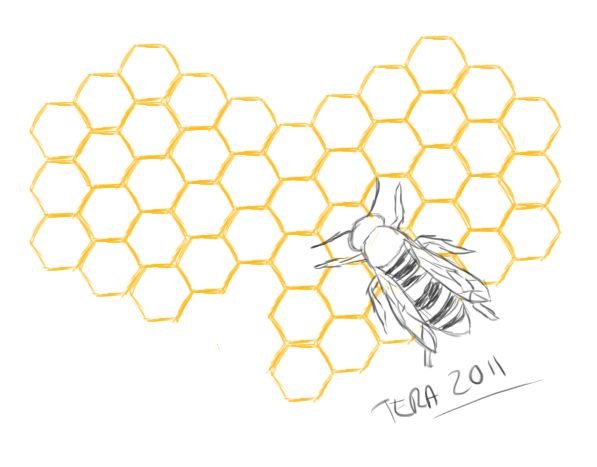 Соты раскраска