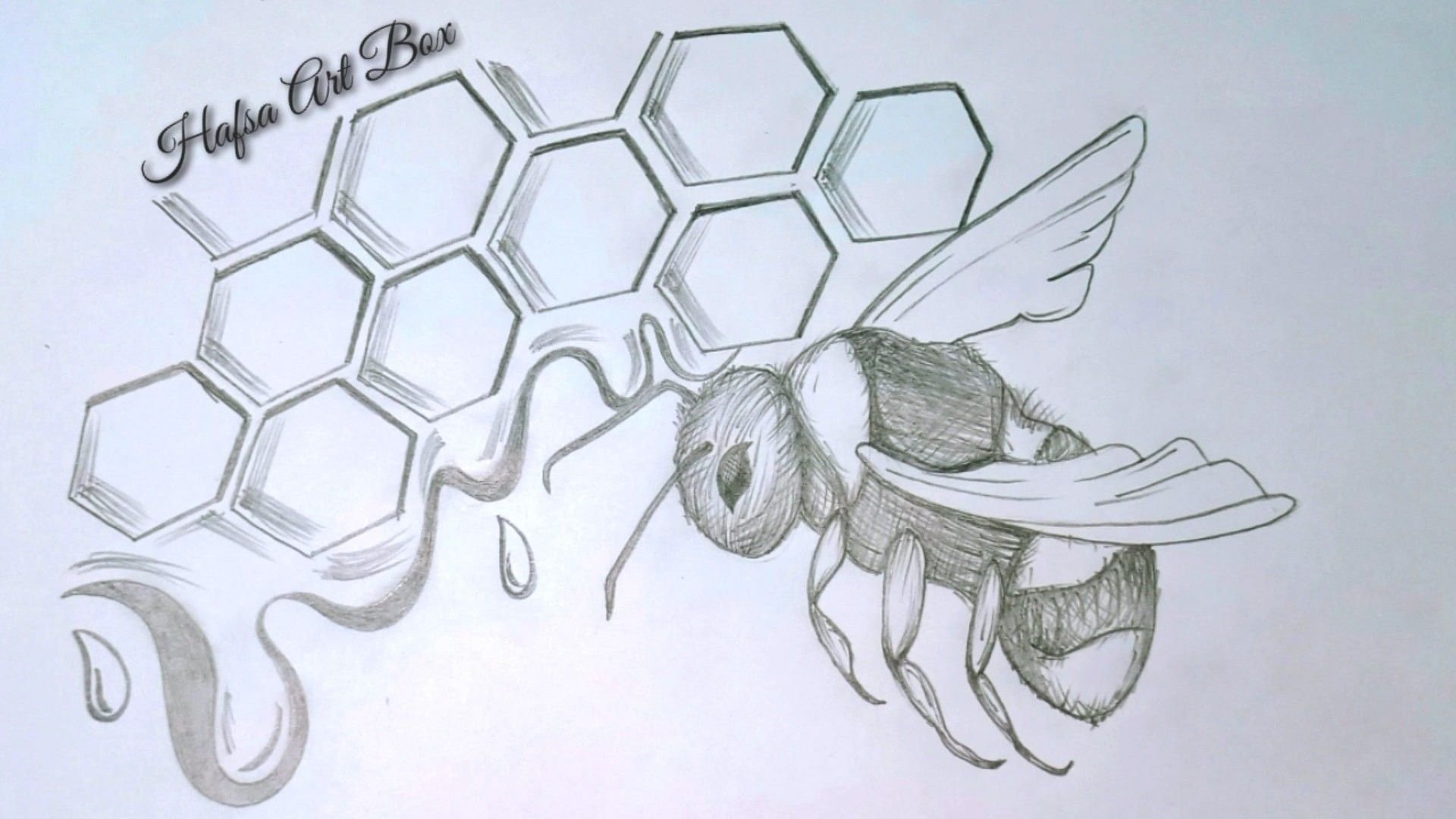 Пчела и соты рисунок карандашом