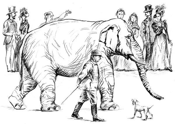 Слон и моська раскраска