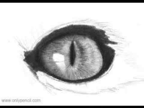 Кошачий глаз карандашом