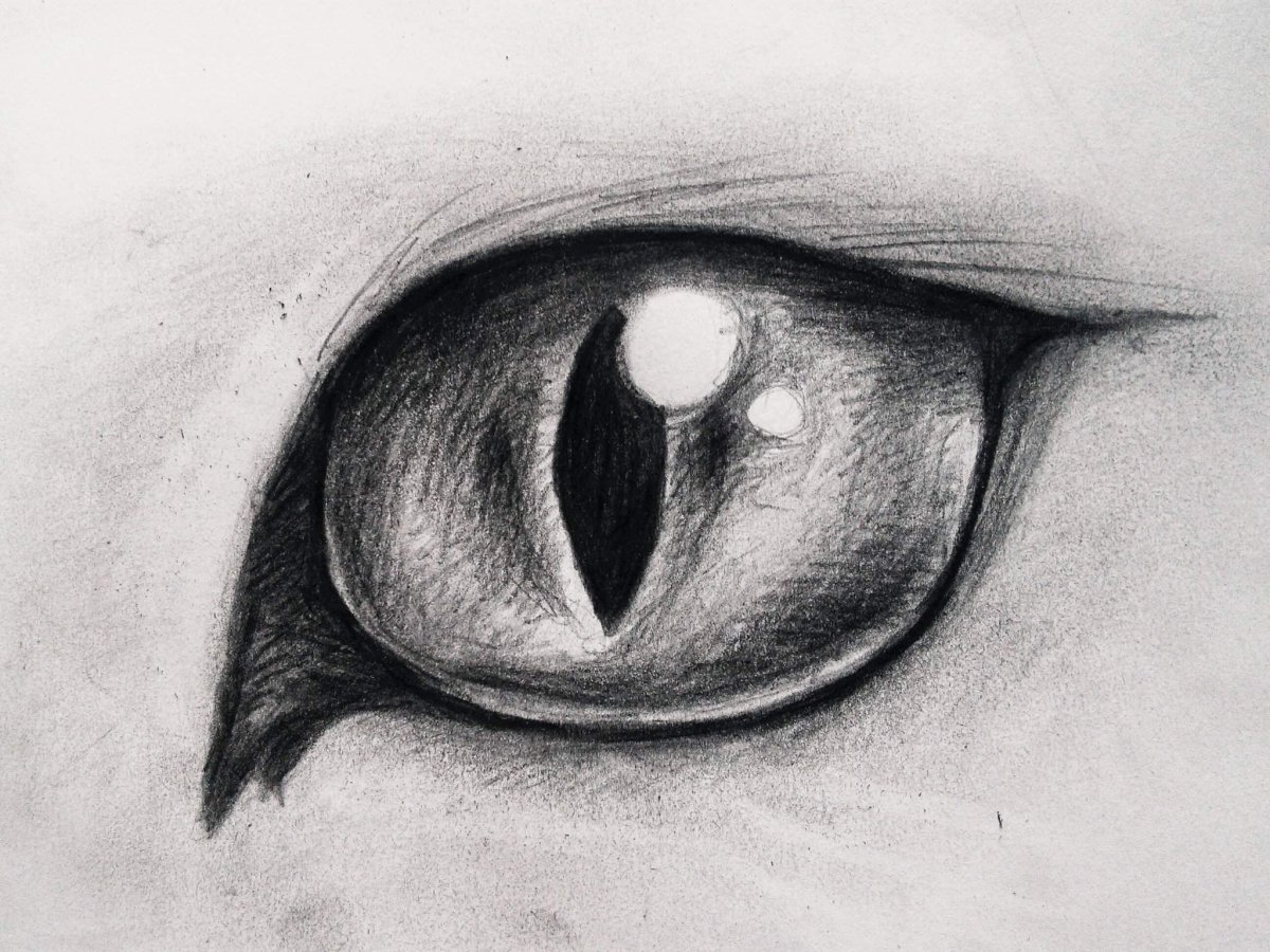 Кошачий глаз рисунок карандашом