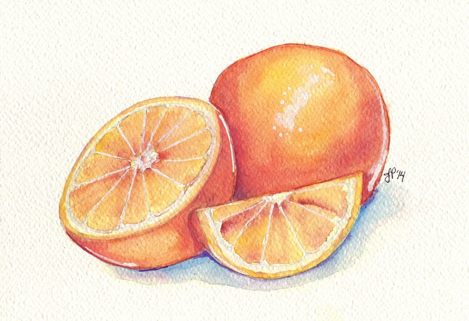 Долька апельсина акварель
