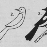 Поэтапное рисование сороки