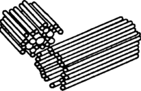 Клеточный центр рисунок