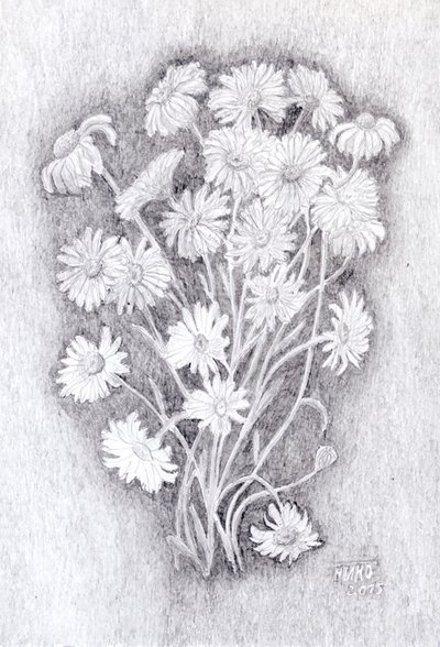 Ромашка рисунок карандашом