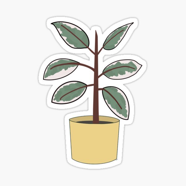 Раскраска фикус в горшке для детей