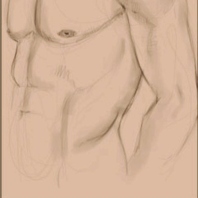 Экорше анатомия спина мышцы