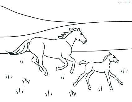 Степь раскраска для детей