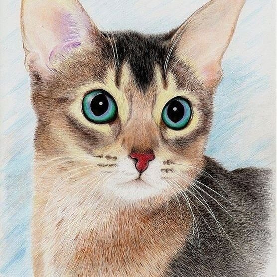 Реалистичные рисунки на бумаге