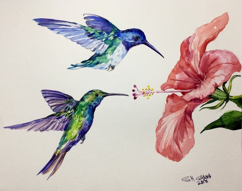 Колибри рисунок карандашом цветной - 91 фото