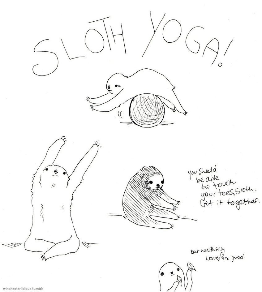 Как нарисовать ленивца
