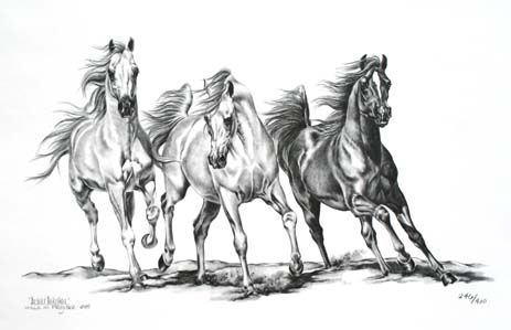 Лошади Наброски тройка