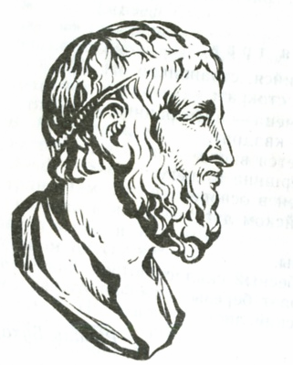 Пифагор профиль