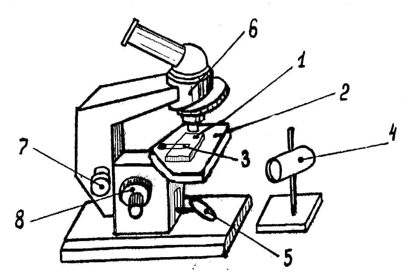 Предметный столик микроскопа МБС 1 чертеж