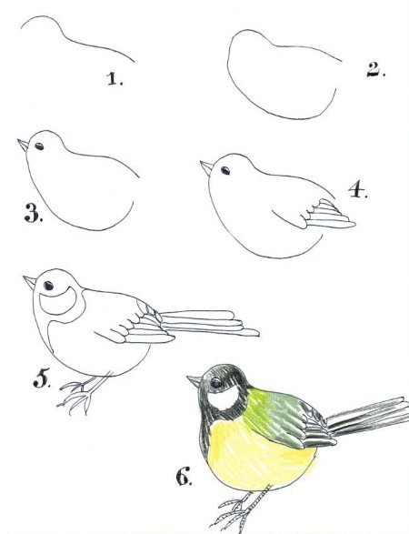 Трафарет птички синички для детей