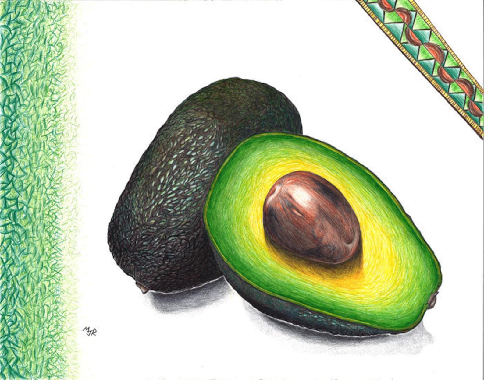 Авокадо рисунок карандашом