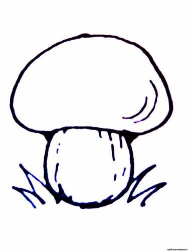 Белый гриб трафарет