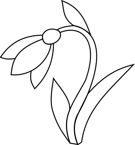 Подснежник Галантус раскраска