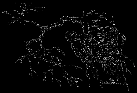 Дятел Графика