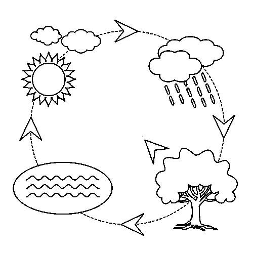 Рисунок-схема «движение воды в природе»