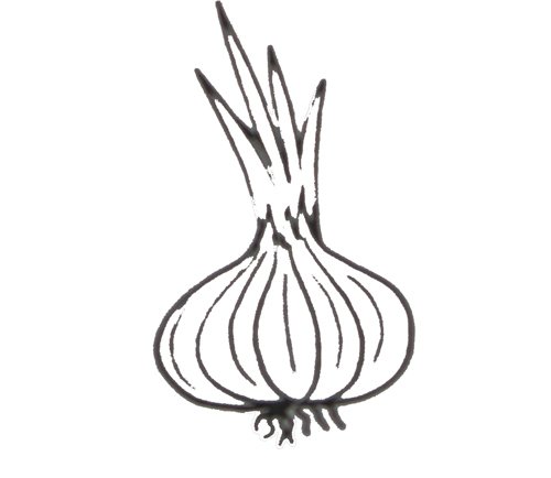 Рисунок чеснок для детей карандашом (42 фото)