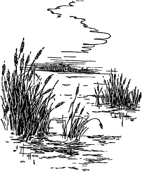 Болото рисунок карандашом