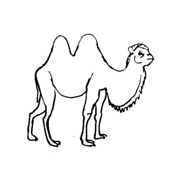 Нарисовать верблюда