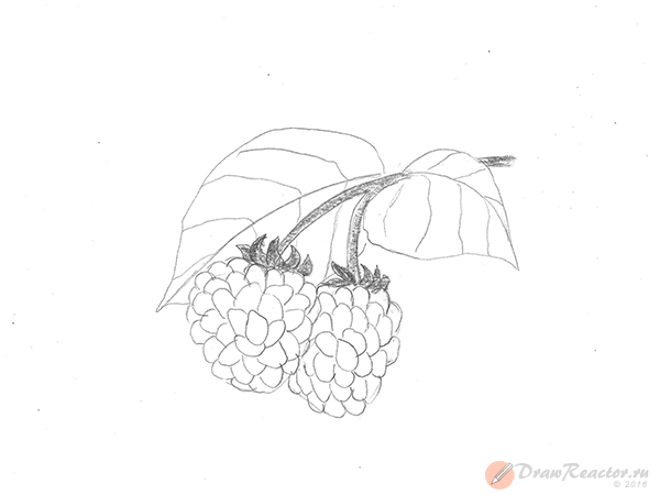 Поэтапное рисование ягод