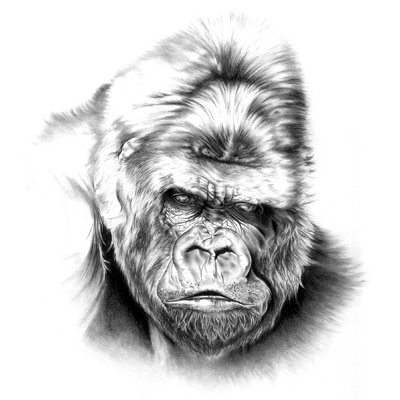 Горилла карандашом