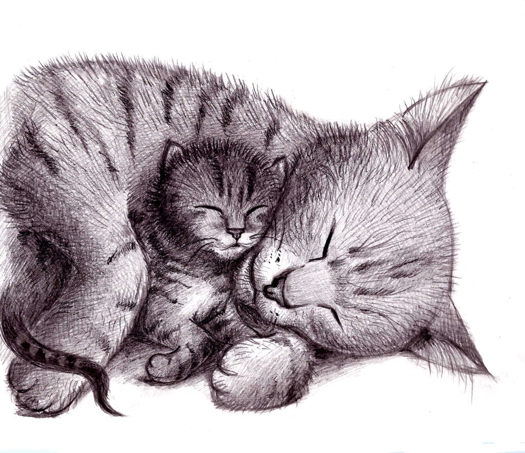 Рисовать кошку с котятами