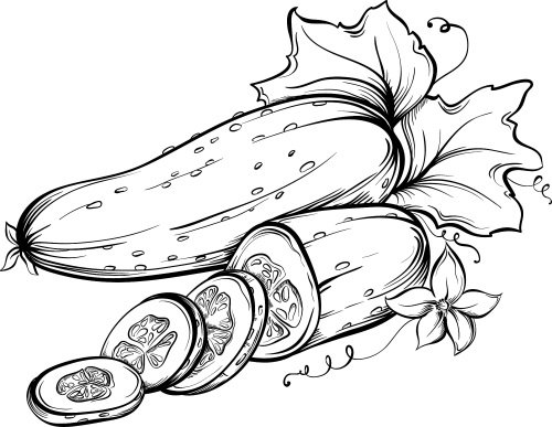 Натюрморт с овощами карандашом