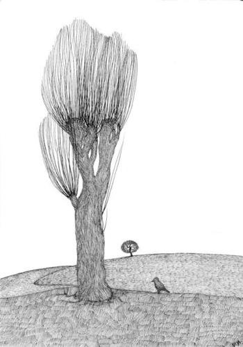 Тополь раскраска