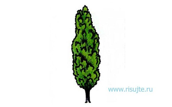 Лист осины раскраска