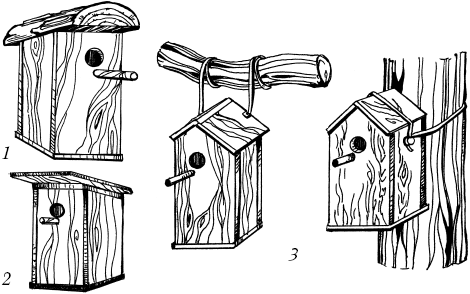 Рисование с натуры. Домики для птиц (скворечники, дуплянки, синичники).