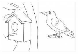 Скворечник раскраска