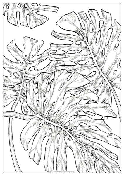 Тропические листья карандашом