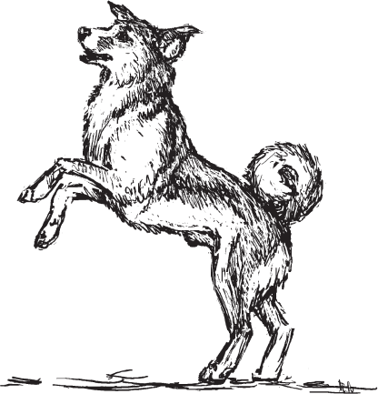 Вера Чаплина тюлька