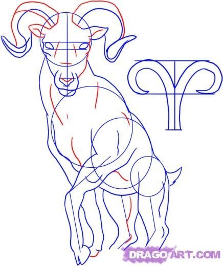 Овен рисунок