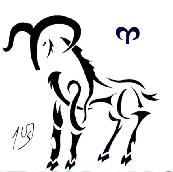 Раскраски антистресс знаки зодиака