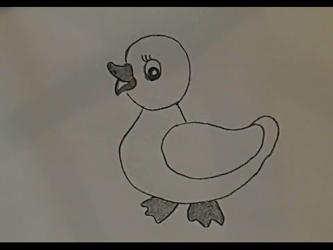 Серая шейка пошаговое рисование