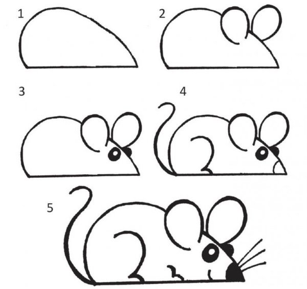 Техника рисования мышки