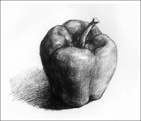 Болгарский перец карандашом