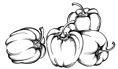 Болгарский перец